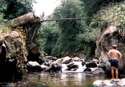 klost_log_bridge