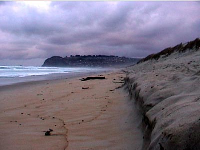 walking the deserted beach in Dunedin