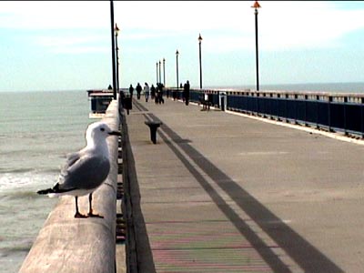 new_brighton_pier