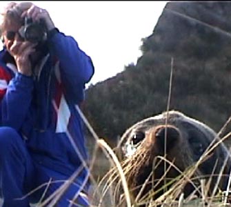 seal_photo