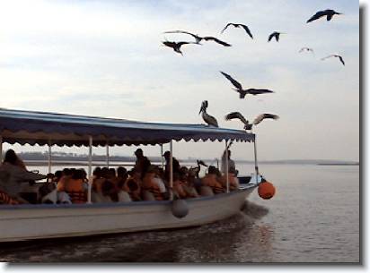 36boat_birds