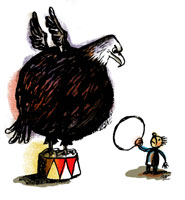 Neubecker_everyday_econ