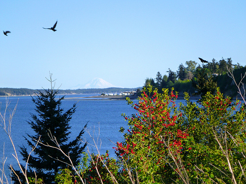 Port Townsend view