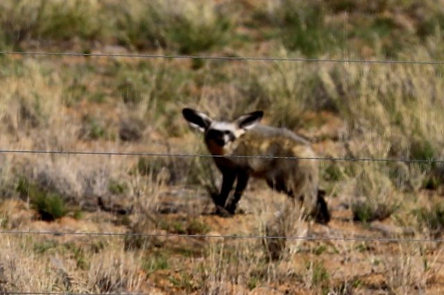 GT5A5958 - Version 2