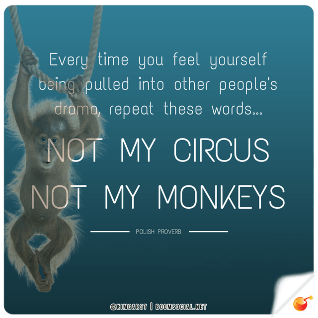 not my circus