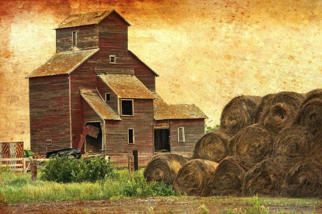 disappearing Prairie Sentinal