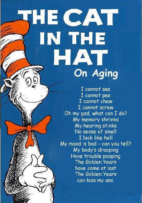 cat in the hat on aging