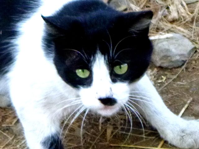 P1330286 - Version 2