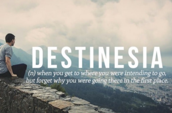 Destinesia