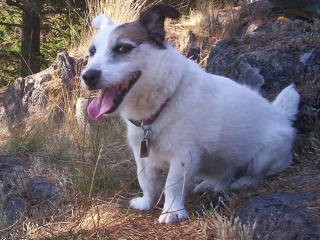 259829947_8de1098373_z