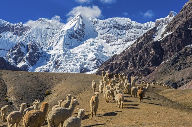 budget-adventure-700x467