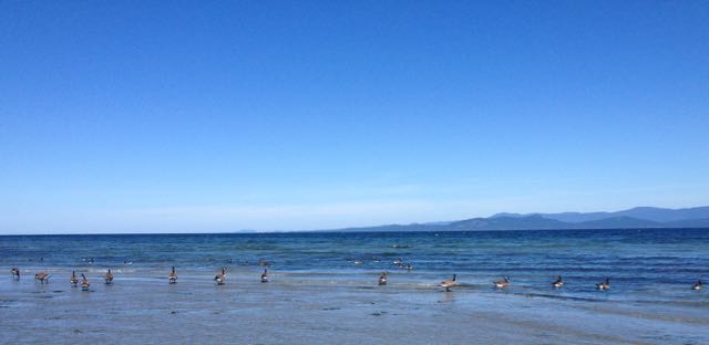 High Divide Loop - 2