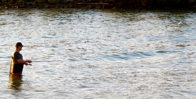 20282163222_8344e9c425_b