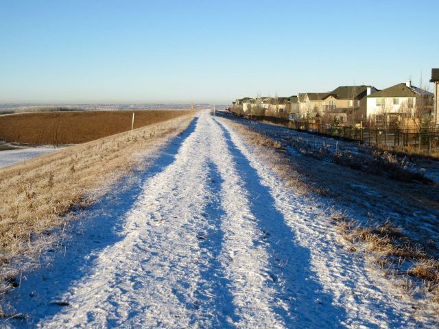 Last Import - 1 of 4