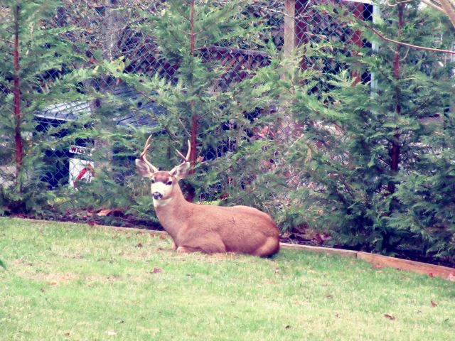 Last Import - 2 of 2