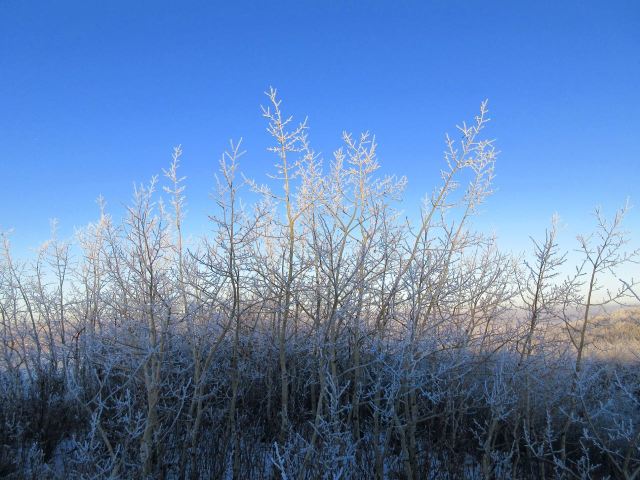 Last Import - 2 of 4