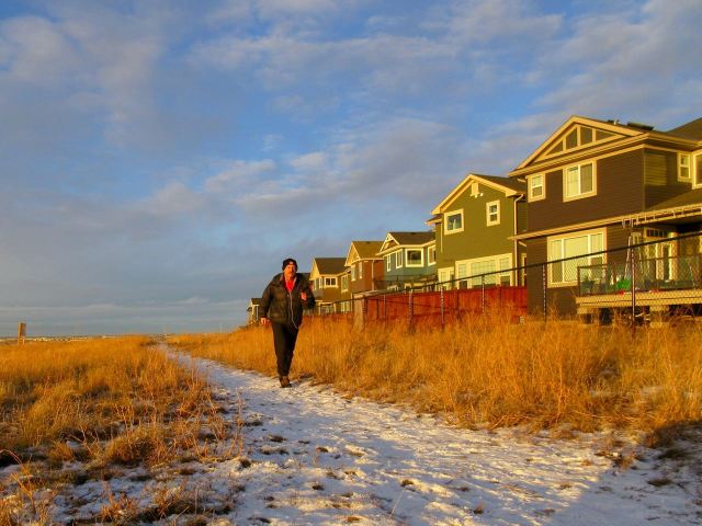 Last Import - 3 of 4