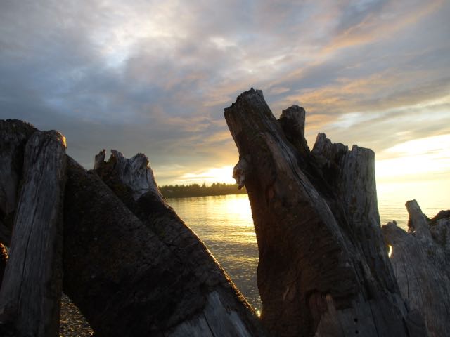 original - Parksville beach