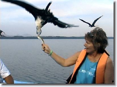 3280467448_df45468dab_o